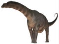 Argentinosaurus over White