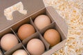 Argiculture, farming background. Free grazing of hens. Egg box full. Cardboard box with brown eggs. Organic egg in box
