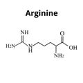 Arginine amino acid. Chemical molecular formula Arginine amino acid. Vector illustration on isolated background