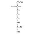 Arginine amino acid. Chemical molecular formula Arginine amino acid. Vector illustration on isolated background