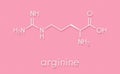 Arginine L-arginine, Arg, R amino acid molecule. Skeletal formula.