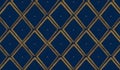Argyle pattern. Navy blue with thin golden dotted line