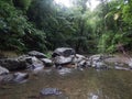 The Argyle River Leading to the Argyle Waterfall in Tobago, West Indies Royalty Free Stock Photo