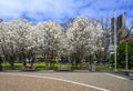 Melbourne`s Argyle Square Piazza Italia