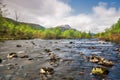 Argyll Forest Park , Scottish highlands, Scotland