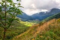 Argyll Forest Park in the Scottish Highlands