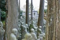 Arhat statues of the Umpenji temple in Miyoshi, Japan. Royalty Free Stock Photo