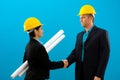 Arhitects shaking hands Royalty Free Stock Photo
