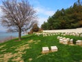 Ari Burnu Cemetery, Gallipoli Royalty Free Stock Photo