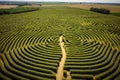 Arial view of a big maze in a corn field Royalty Free Stock Photo