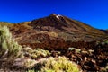 Arid barren landscape with meager dry vegetation against blue sky at Volcano Teide, Tenerife, Canary Islands