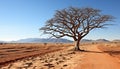 Arid climate, sand dune, acacia tree, remote generated by AI Royalty Free Stock Photo