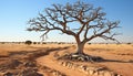 Arid climate, sand dune, acacia tree, wildlife reserve generated by AI Royalty Free Stock Photo