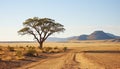 Arid climate, sand dunes, acacia tree, wildlife reserve generated by AI Royalty Free Stock Photo