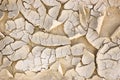 Arid cracked desert like river bed ground texture after a drought large detailed textured horizontal macro closeup pattern Royalty Free Stock Photo