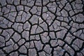 Arid, cracked gray desert landscape surface