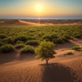 Arid desert landscape desert sand dunes, with native drought-resistant green vegetation in the Middle East - north of