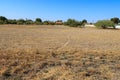 Arid Desert Patch in Residential Area of Phoenix, AZ