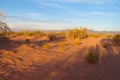 Arid desert Royalty Free Stock Photo