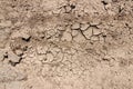 Arid and dry cracked land Royalty Free Stock Photo