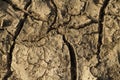 Arid Dry Cracked Mud Grunge Texture Royalty Free Stock Photo