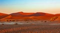 Arid dry landscape Hidden Vlei in Namibia Africa