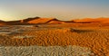 Arid dry landscape Hidden Vlei in Namibia Africa