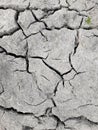 Arid dry soil soil cracked with large cracks due to drought in the field gray burst Royalty Free Stock Photo