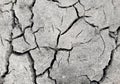 Arid dry soil soil cracked with large cracks due to drought in the field gray burst Royalty Free Stock Photo