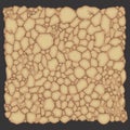 Arid the Dryland texture background