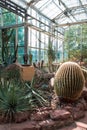 Arid greenhouse garden full of cacti