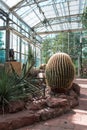 The arid greenhouse at the gardens