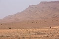 Arid and hot day in the desert of Sahara, Tata Royalty Free Stock Photo