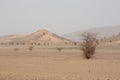 Arid and hot day in the desert of Sahara, Tata Royalty Free Stock Photo