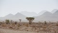 Arid and hot day in the desert of Sahara, Tata Royalty Free Stock Photo