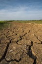 The arid land at paddy field. Royalty Free Stock Photo