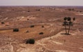 Arid landscape Royalty Free Stock Photo