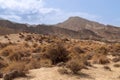 Arid landscape made up of hills and ravines with little vegetation.