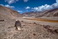 Arid landscape in Tajikistan Royalty Free Stock Photo