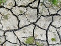 Arid, parched and cracked soil due to lack of water Royalty Free Stock Photo