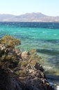 Arid shrubs on rocky shore along the hiking trail on Bodrum coast of Gokova Gulf in Turkey. Royalty Free Stock Photo