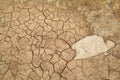 Arid soil Royalty Free Stock Photo