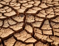 Arid soil with deep cracks forming natural abstract patterns in warm tones. Royalty Free Stock Photo