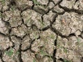 Detail of arid soil abstract nature patterns Royalty Free Stock Photo