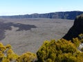 Arid vegetation of the volcano in the Piton of the Fournaise in the island of RÃÂ©union.