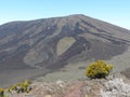 Arid vegetation of the volcano in the Piton of the Fournaise in the island of RÃÂ©union.