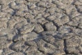 Aridity, Camargue, Bouches-du-RhÃÂ´ne, France