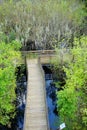 Arieal view of A boardwalk in swamp Royalty Free Stock Photo