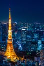 Ariel view of Tokyo tower in the night scene Royalty Free Stock Photo