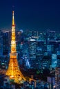 Ariel view of Tokyo tower in the night scene